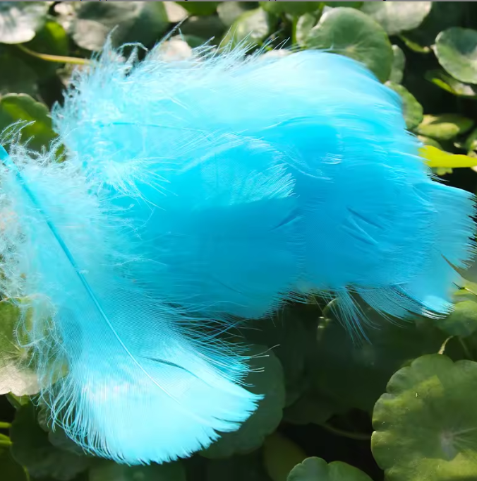 Florette Dyed Feathers