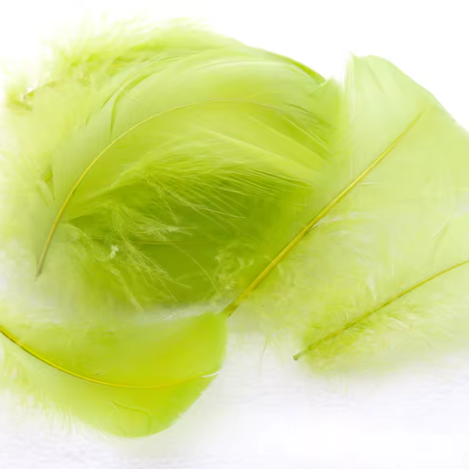 Florette Dyed Feathers