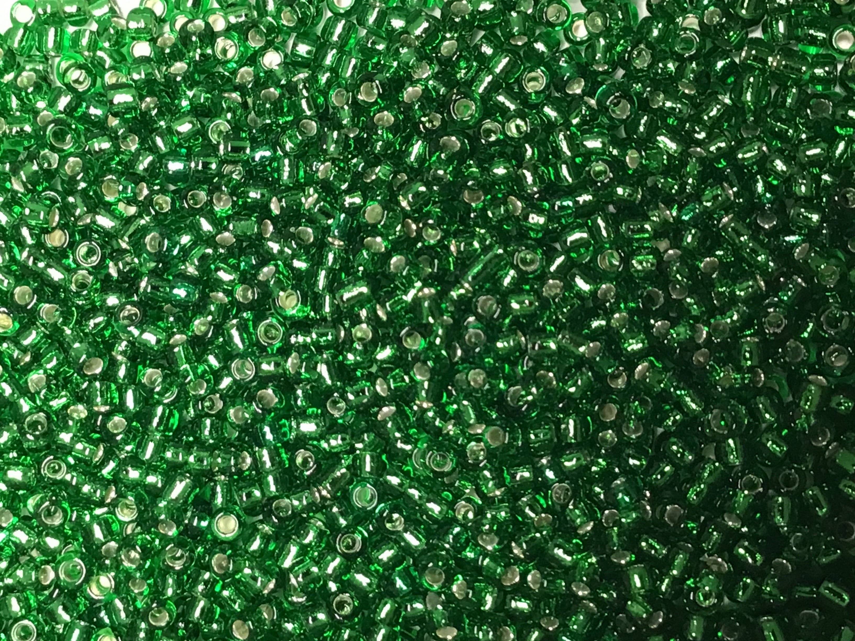 Silver Lined RR Seed Beads Size 11/0 - Brush