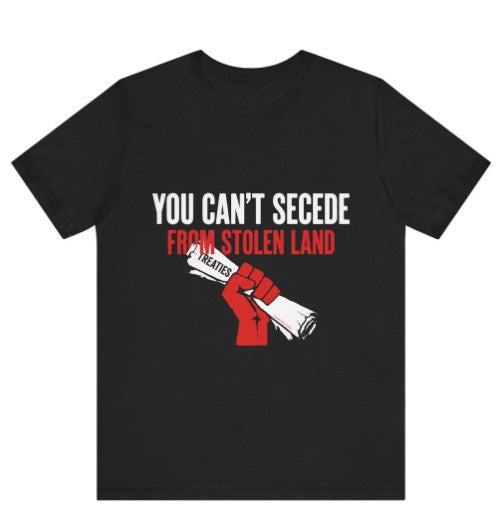 You Can't Secede T-Shirt