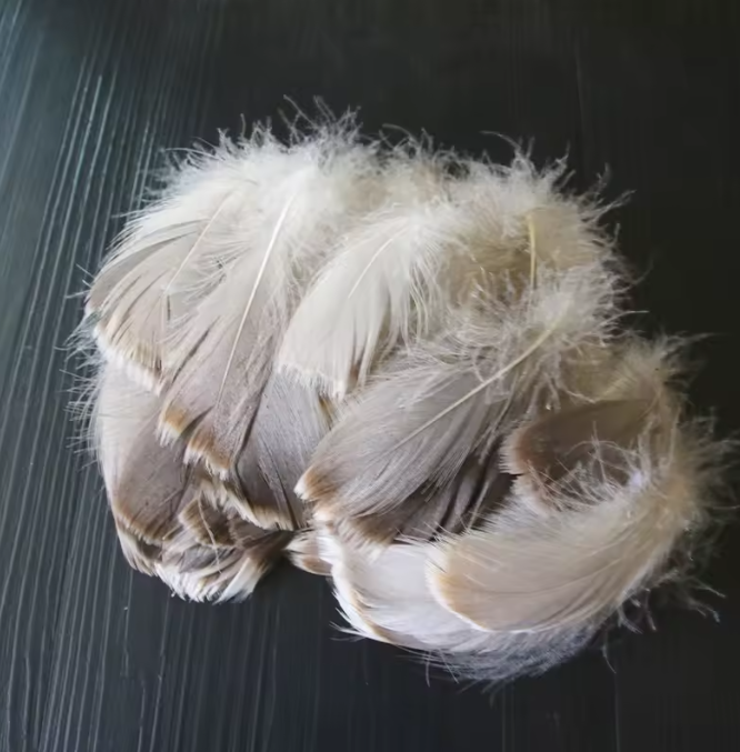 Florette Dyed Feathers