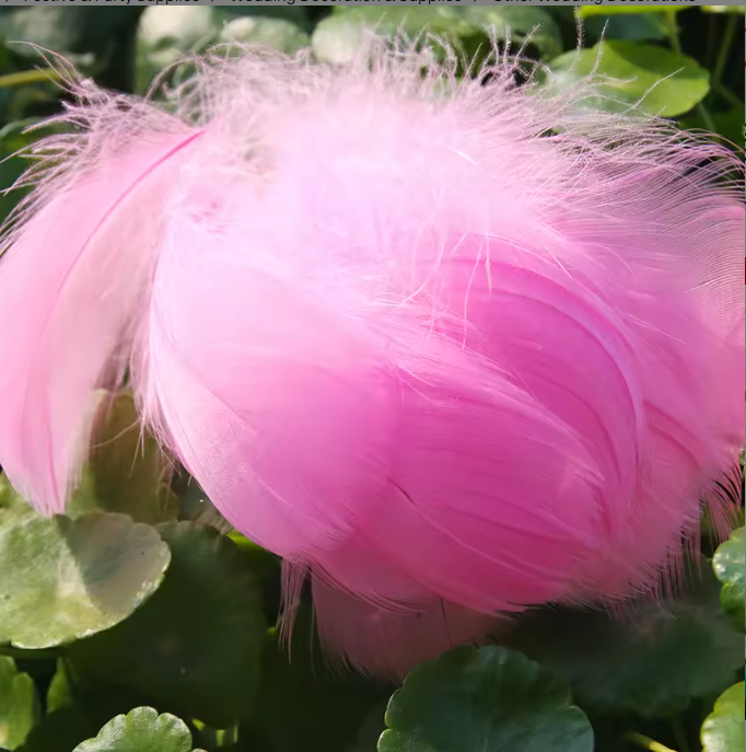 Florette Dyed Feathers