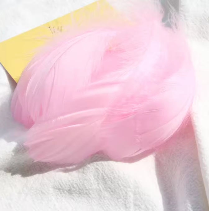 Florette Dyed Feathers